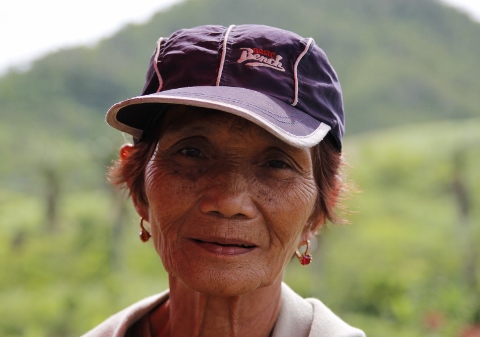 Josephine Jenico Bedigo Foto Palmecentret